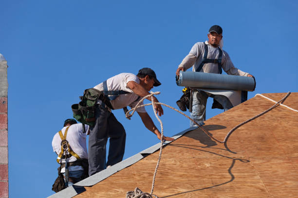 Best Shingle Roofing Installation  in Paradise, CA